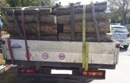 Aproximativ 8 metri cubi de material lemnos confiscat de polițiștii din Dorohoi