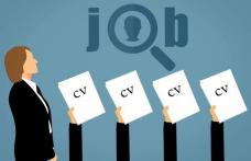 AJOFM Botoșani a publicat lista locurilor de muncă vacante. Peste 450 de joburi disponibile în județ