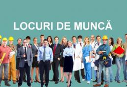 AJOFM: Peste 460 de locuri de muncă disponibile în județul Botoșani. Vezi lista joburilor neocupate!