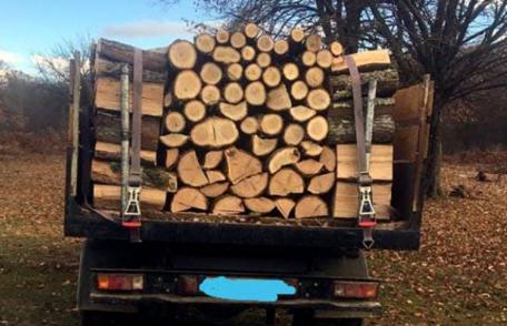 Un nou transport ilegal de material lemnos și o nouă confiscare, la Mihăileni