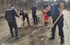 Pompierii dorohoieni s-au alăturat unei acțiuni de voluntariat demarată de Primăria Dorohoi - FOTO