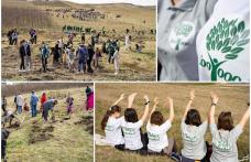 Polonicul nostru, mai verde ca oricând! Voluntarii au plantat peste 20.000 de puieți la Dorohoi - FOTO