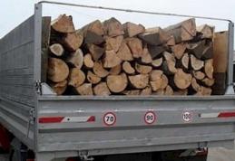4 metri cubi de lemne confiscat de polițiștii din Dorohoi