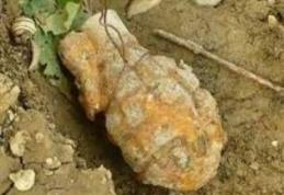 Grenadă găsită într-o grădină din Unţeni