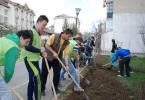 Miscarea pentru Botosani_Ecologizare Bucovina (2)