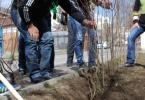 Miscarea pentru Botosani_Ecologizare Bucovina (3)
