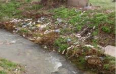 Dorohoi: Control privind decolmatarea și curățarea pârâurilor