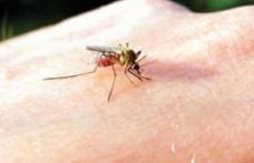 Ce să faci ca să NU atragi ţânţarii și ce REACŢII alergice poţi avea la înţepături