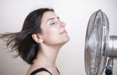 Cum să-ţi răcoreşti casa fără aer condiţionat