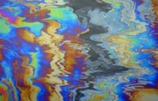 Probleme pe Litoral: O hulă a scos petrol la suprafaţa apei