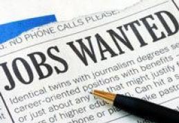 Vrei să munceşti în Norvegia? LISTA joburilor cu salarii de peste 2.000 euro