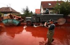 [VIDEO] Catastrofa ecologica in Ungaria
