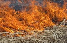 CANICULĂ: Este interzisă arderea miriştilor şi a resturilor vegetale!