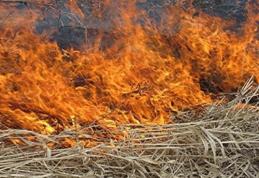 CANICULĂ: Este interzisă arderea miriştilor şi a resturilor vegetale!