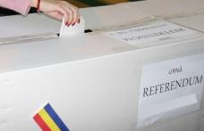 Românii din Diaspora vor să voteze la referendum