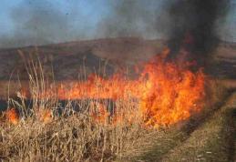 70 de hectare de vegetaţie uscată, mistuite de flăcări