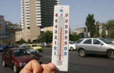 Cea mai fierbinte vară din ultimii 50 de ani