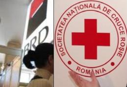 Crucea Roşie continuă sprijinul pentru victimele inundatiilor din iunie – iulie 2010