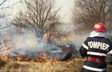 Incendiu de vegetație uscată stins după mai bine de opt ore