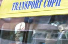 Microbuze gratuite puse la dispoziție de Consiliul Judeţean pentru vizite la Memorialul Ipoteşti