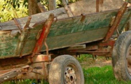 O femeie din Văculești a murit după ce hamurile de la căruța în care se afla s-au rupt