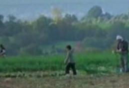 Şapte copii români, sclavi la o fermă din Marea Britanie