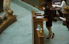 Doina Federovici a obţinut o funcţie de conducere în cadrul comisiilor permanente ale Senatului