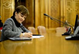 Peste 50 de amendamente la Legea bugetului formulate de deputatul PP-DD Liliana Mincă