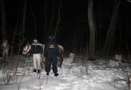 Contrabandă cu caii la SPF Româneşti