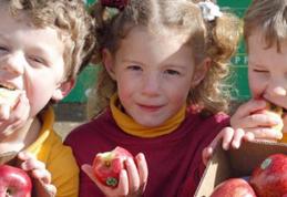 Spicul Dorohoi va distribui mere în toate şcolile judeţul Botoșani