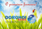 Urare Dorohoi News