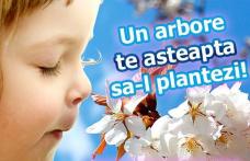 Primăria Dorohoi organizează o nouă campanie de plantare de pomi, sub sloganul „Te iubesc Dorohoi”