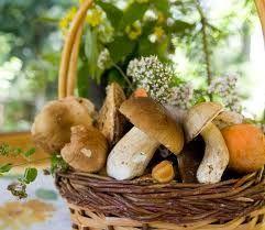 Ciupercile, alimentele minune care ţin cancerul la distanţă