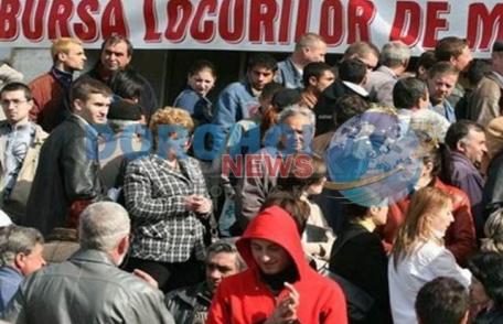 Bursa Generală a locurilor de muncă organizată în luna aprilie și la Botoșani