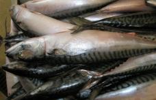 La ce trebuie să fii atent atunci când cumperi produse alimentare pe bază de peşte