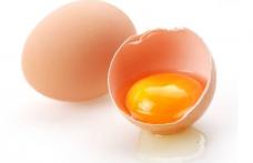 Beneficiile extraordinare ale gălbenușului de ou