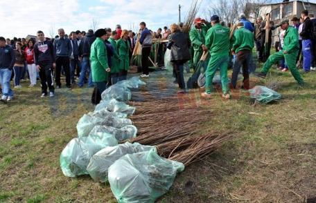 O amplă acțiune de plantare de arbori a avut loc astăzi pe Dealul Polonic din Dorohoi - FOTO
