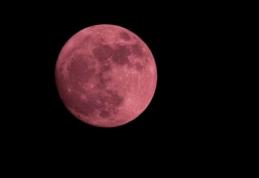 Fenomen astronomic inedit: Luna Roz, vizibilă, joi, din România, coincide cu o eclipsă lunară