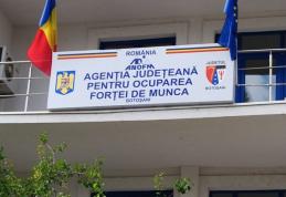 AJOFM: Numarul şomerilor din judetul Botosani in scadere
