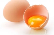 Câteva lucruri importante pe care nu le știai despre ouă