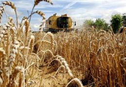 ISU Botoșani: Campanie de recoltare a cerealelor fără incendii!