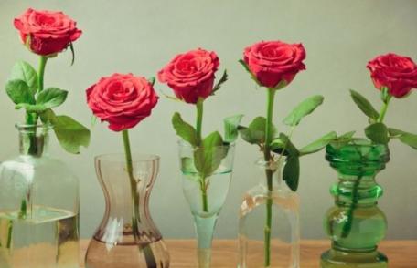 Cum se păstrează cel mai bine florile în vază: Vodcă, Sprite sau clor?