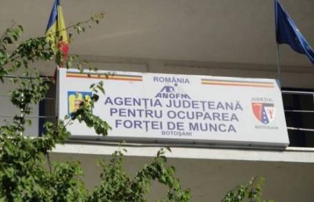 AJOFM Botoșani: A început procedura de emitere a Cardului Profesional European
