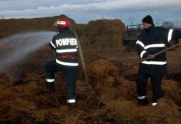 Zece tone de furaje distruse într-un incendiu la Băluşeni