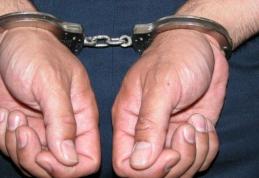 Suspect de comiterea mai multor furturi, depistat de poliţiştii botoșăneni