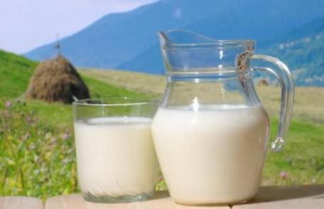Pericolele ascunse în lapte: de la antibiotice la hormoni