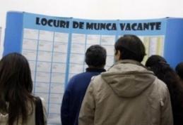 AJOFM Botoșani: Aproximativ 300 de locuri de muncă vacante pentru proaspeții absolvenți