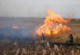Căruță cu furaje incendiată intenționat de un tânăr din Dorohoi