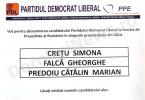 Alegeri candidat prezidentiale_PDL Dorohoi_18