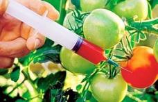 Cum recunoşti produsele modificate genetic 
